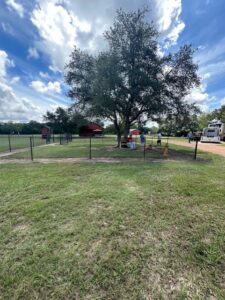 Shade Tree RV Park RV park in Yoakum, TX (photo 4)